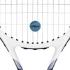 Antivibrador Babolat Pure Drive Dump Com 2 Unidades Azul - ATPSHOP